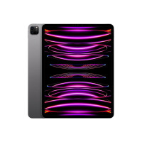 APPLE iPad Pro 11" Wi-Fi + Cellular 1TB nanotextura - Silver 2024