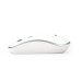 GEMBIRD myš MUSW-4B-06, bílo-stříbrná, bezdrátová, USB nano receiver #1